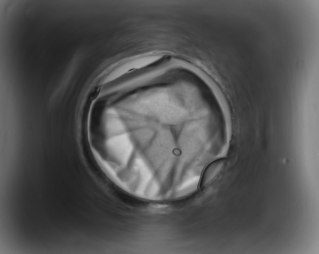 X0000087550055200705251748