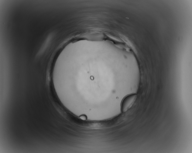 X0000087550059200705251748