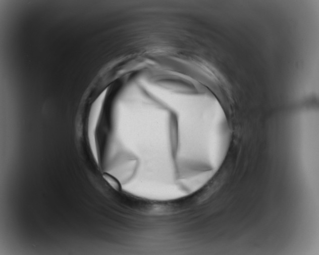 X0000087550060200705251748