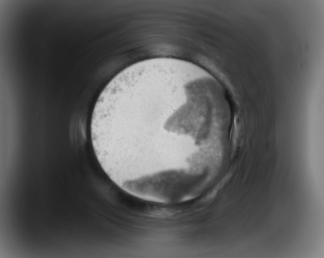 X0000087550062200705251748