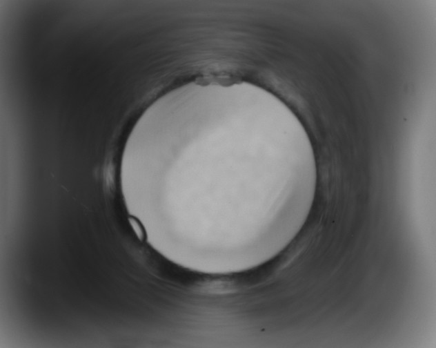 X0000087550067200705251748