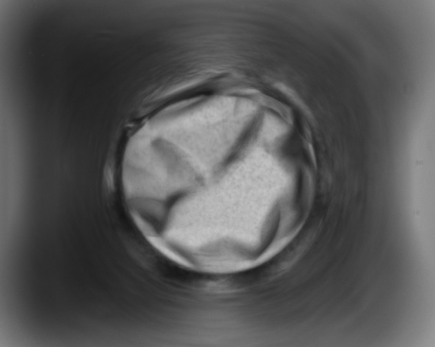 X0000087550068200705251748