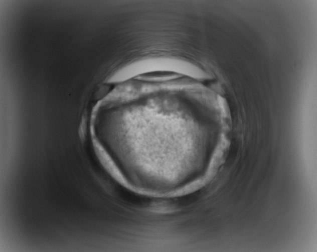 X0000087550070200705251748