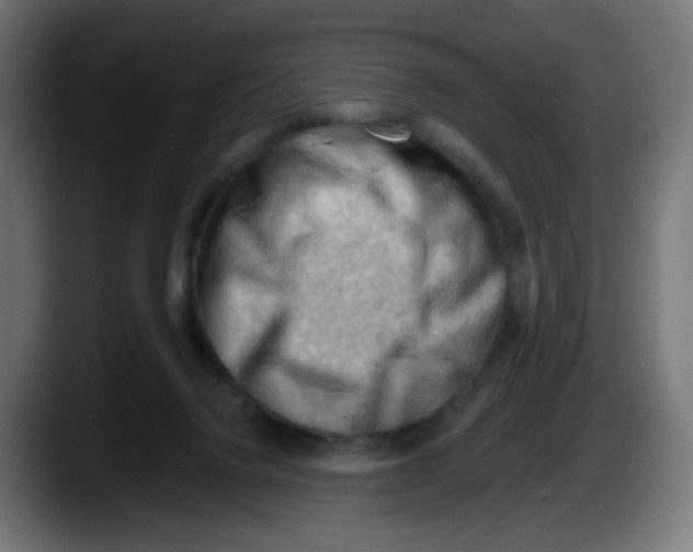 X0000087550072200705251748