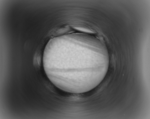 X0000087550076200705251748