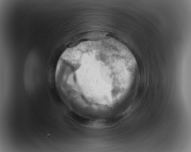X0000087550078200705251748