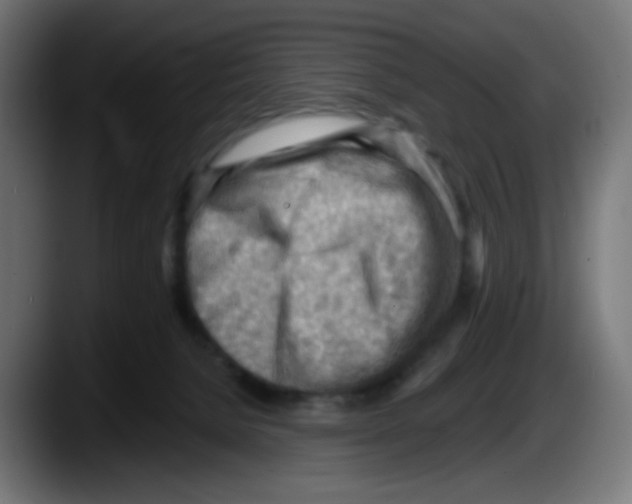 X0000087550080200705251748