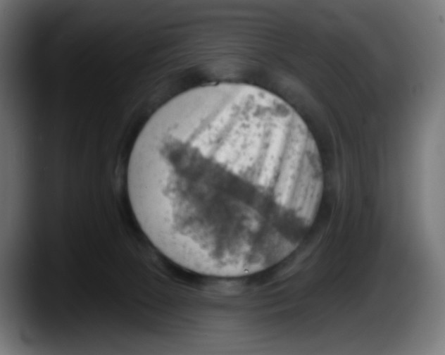 X0000087550081200705251748