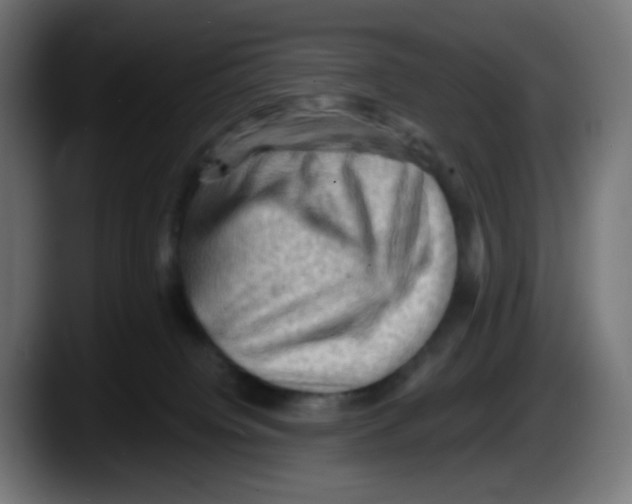 X0000087550084200705251749