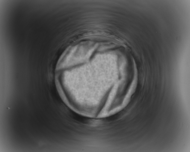 X0000087550085200705251749