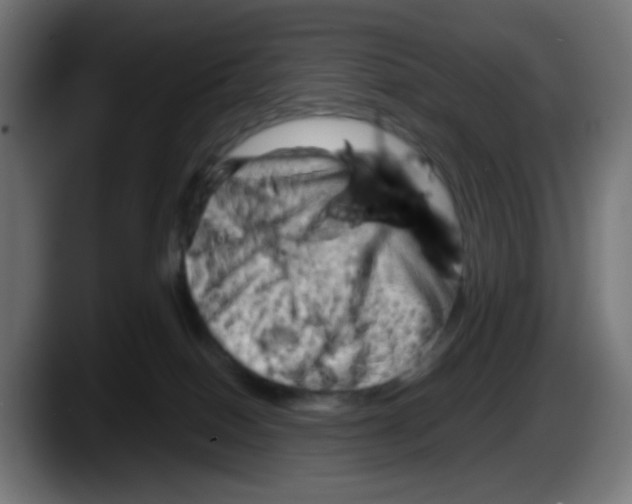 X0000087550086200705251749