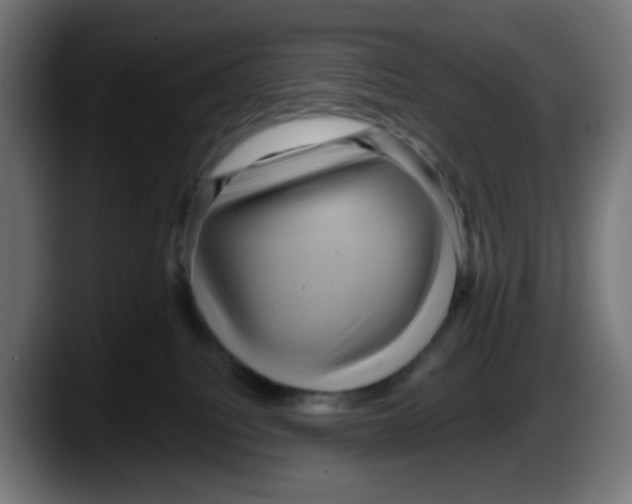 X0000087550088200705251749