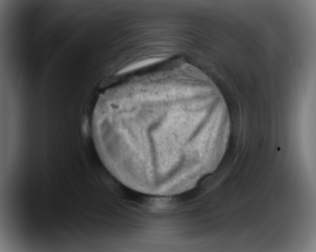 X0000087550089200705251749