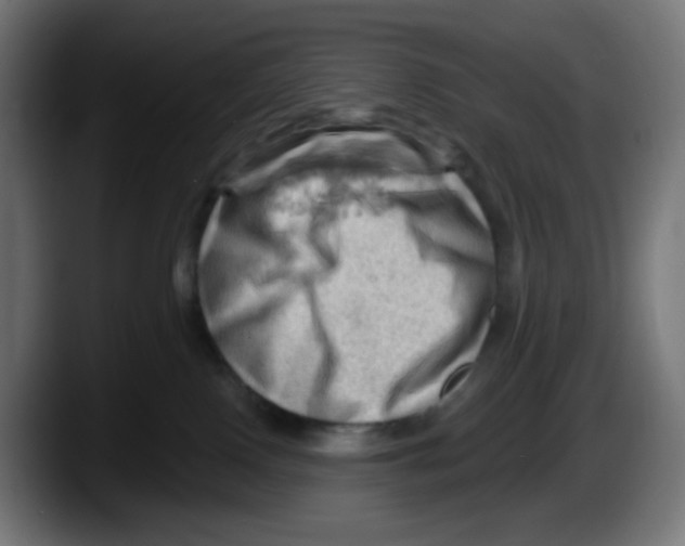 X0000087550090200705251749