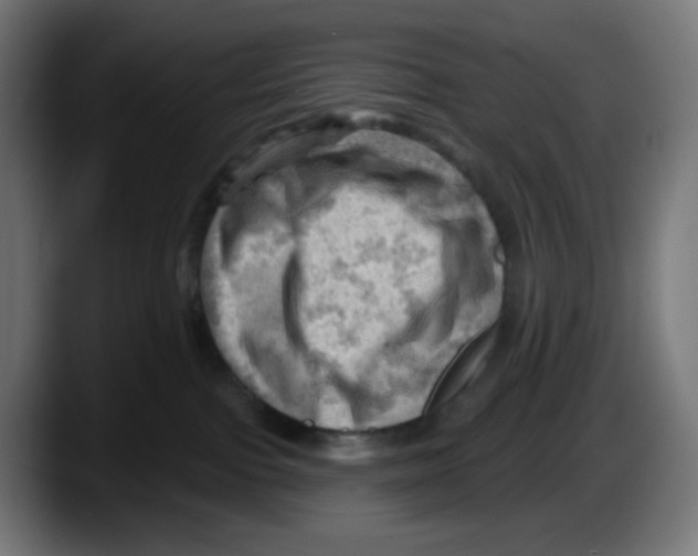 X0000087550091200705251749