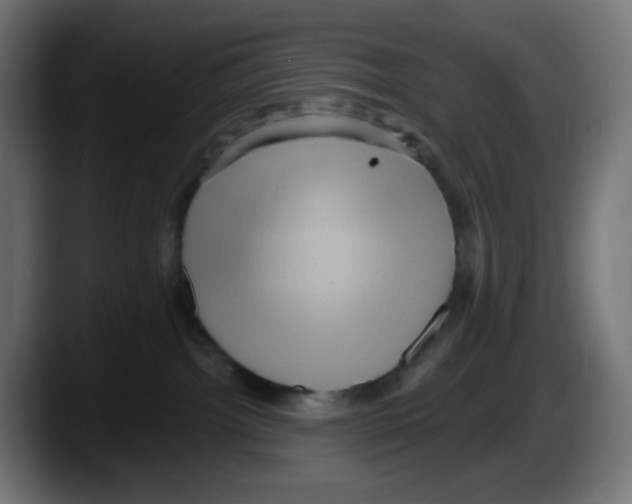 X0000087550092200705251749