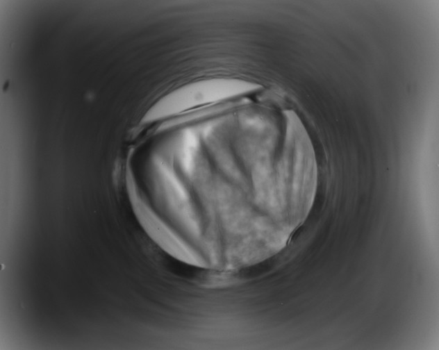 X0000087550093200705251749