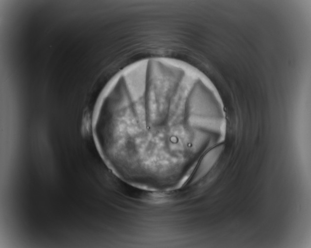 X0000087550095200705251749