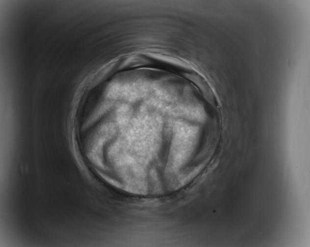 X0000087550097200705251748