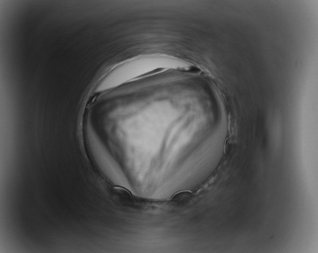 X0000087550099200705251748