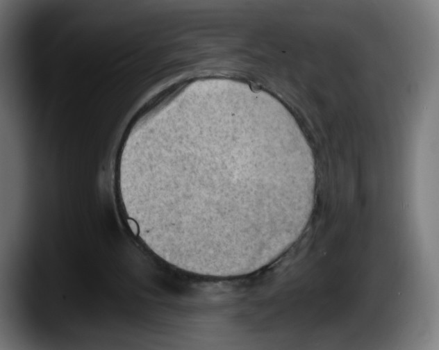 X0000087550100200705251748
