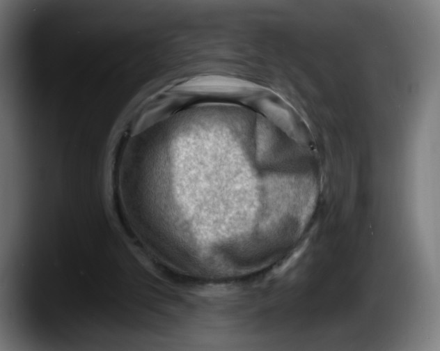 X0000087550101200705251748