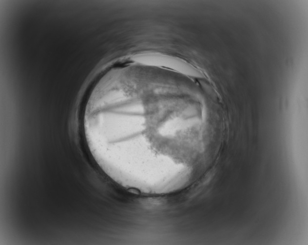 X0000087550102200705251748