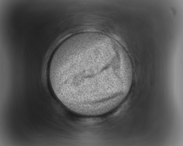 X0000087550103200705251748
