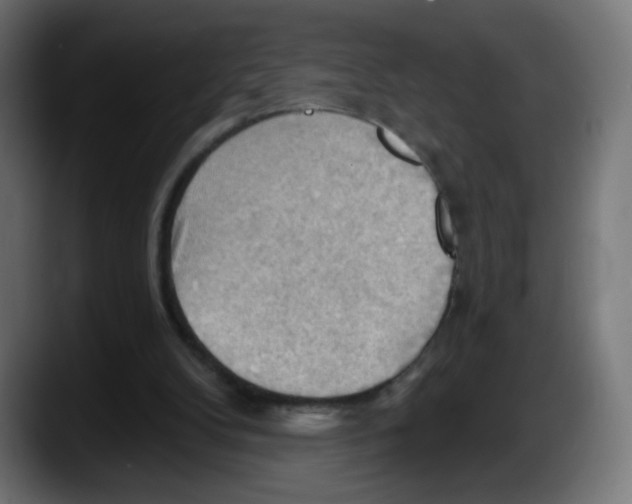X0000087550104200705251748