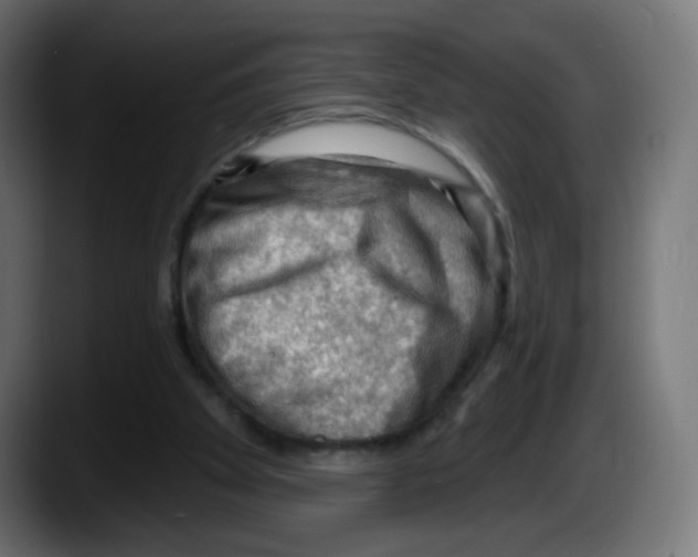 X0000087550105200705251748