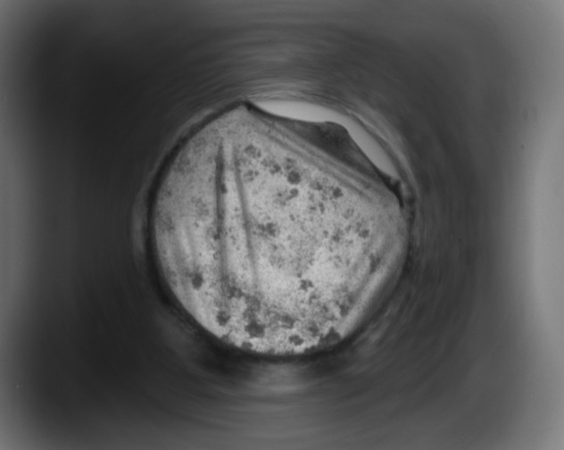 X0000087550107200705251748