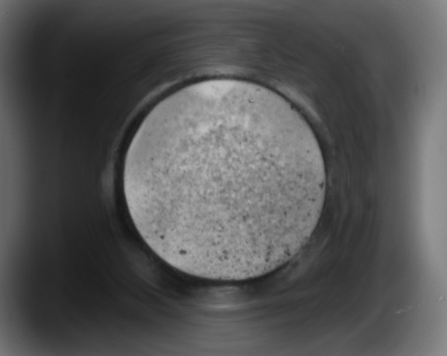 X0000087550108200705251748