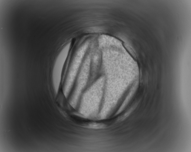 X0000087550109200705251748