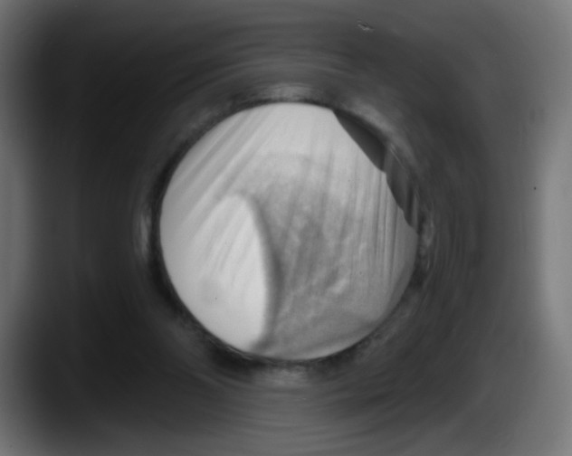 X0000087550110200705251748