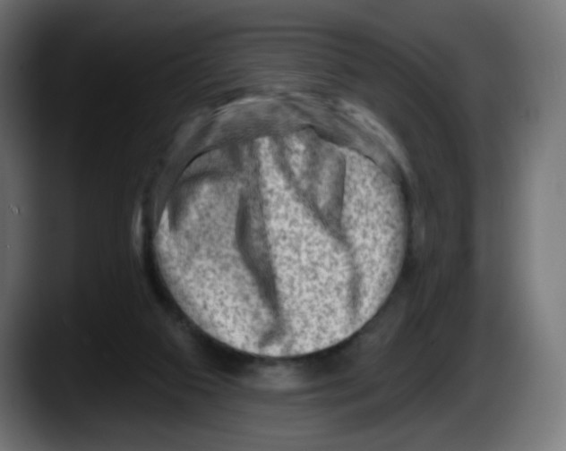 X0000087550113200705251748