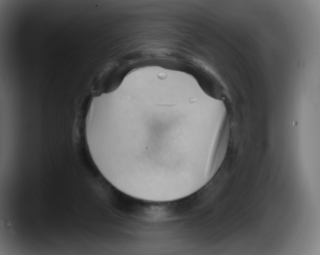 X0000087550114200705251748