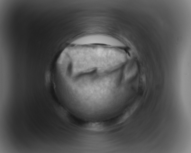 X0000087550117200705251748