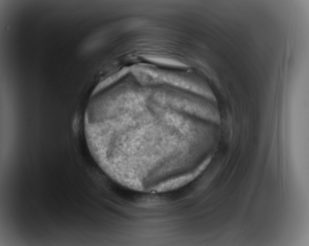 X0000087550123200705251748