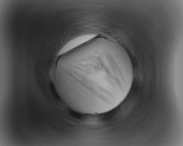 X0000087550127200705251748