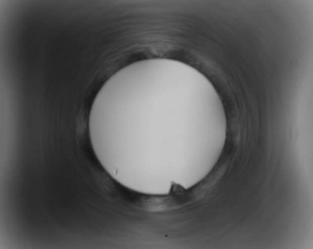 X0000087550129200705251748