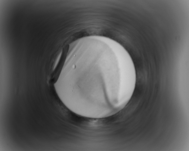 X0000087550130200705251748