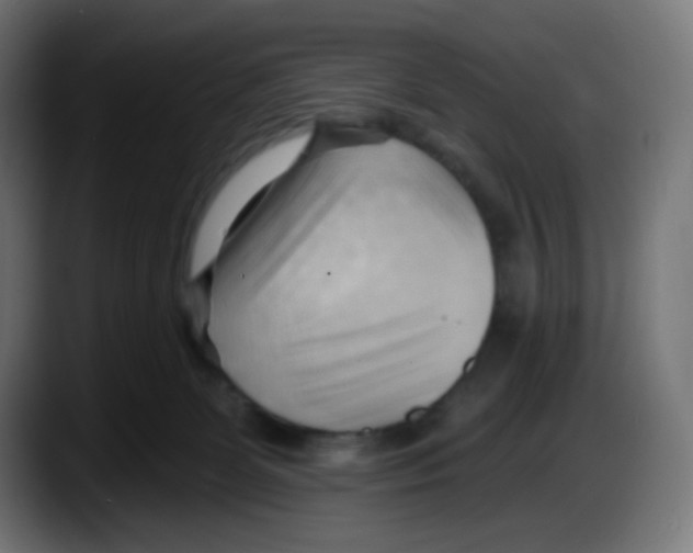 X0000087550131200705251748