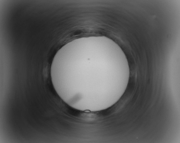 X0000087550133200705251748
