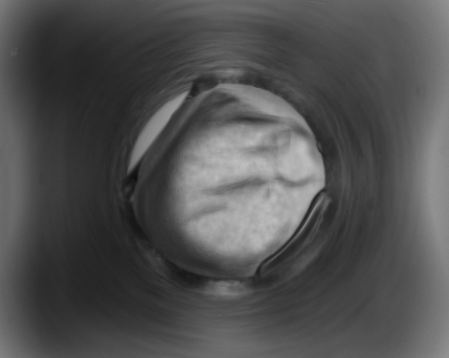 X0000087550137200705251748