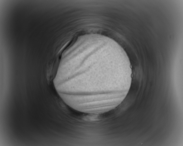 X0000087550138200705251748