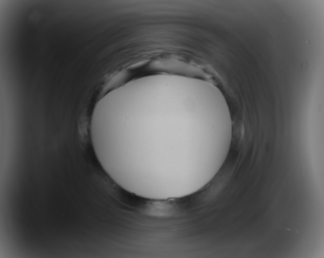 X0000087550141200705251747