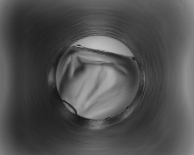 X0000087550143200705251747