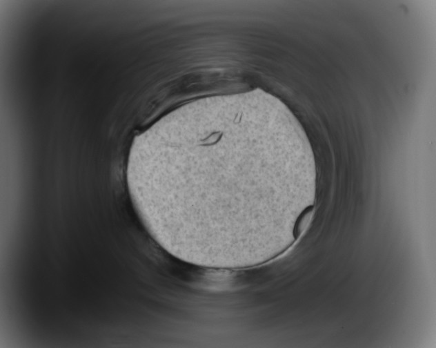 X0000087550144200705251747