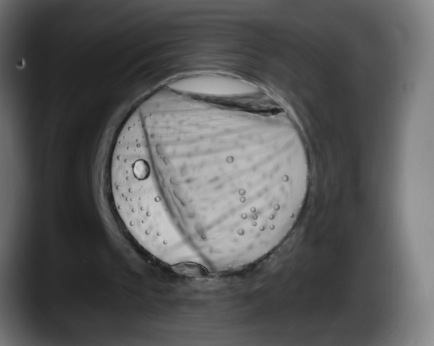 X0000087550145200705251747
