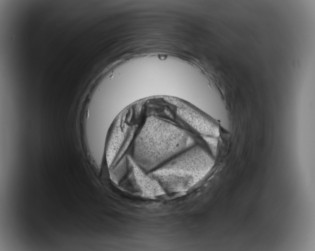 X0000087550146200705251747